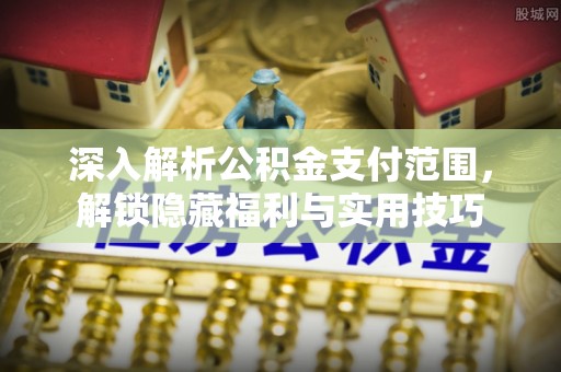 青原深入解析公积金支付范围，解锁隐藏福利与实用技巧
