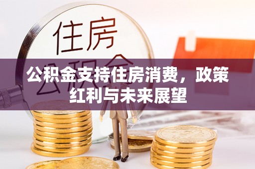 青原公积金支持住房消费，政策红利与未来展望
