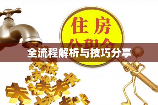 青原全流程解析与技巧分享