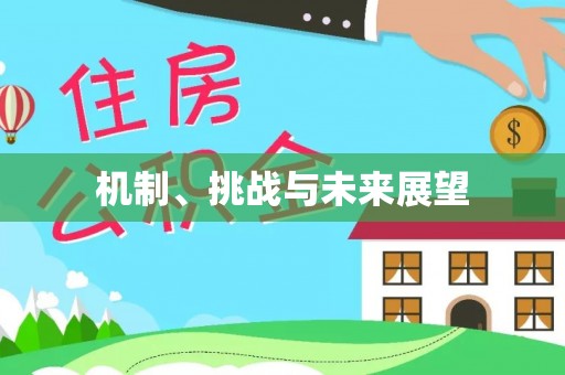 青原机制、挑战与未来展望